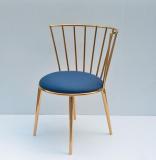 Metal Chair with velvet fabric cushion